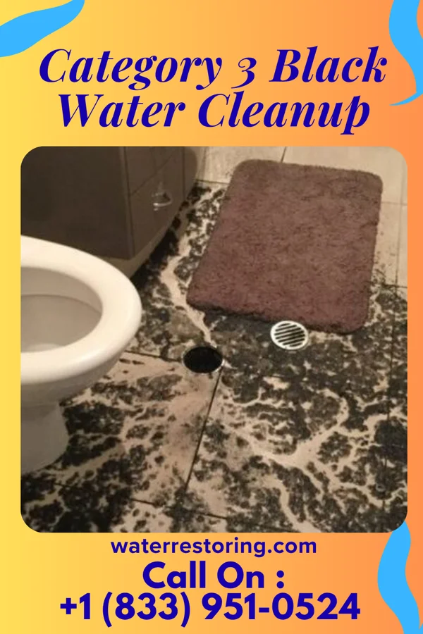 Category 3 Black Water Cleanup in Neosho Rapids, KS