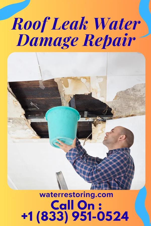 Roof Leak Water Damage Repair in Neosho Rapids, KS