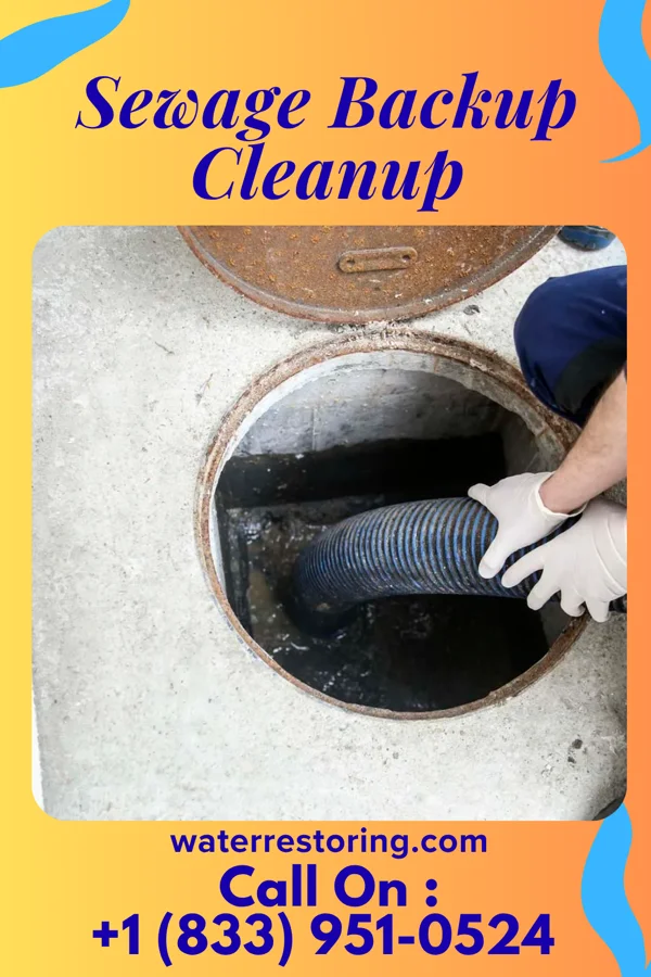 Sewage Backup Cleanup in Neosho Rapids, KS